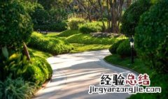 曲径繁复是什么意思啊 曲径繁复是什么意思