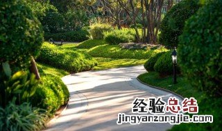 曲径繁复是什么意思啊 曲径繁复是什么意思