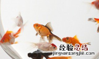 春雨能钓鱼吗 那个方位钓鱼比较好呢