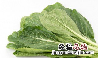 芥菜怎么煮好吃又简单 芥菜怎么煮