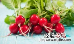 樱桃萝卜的营养价值和功效 樱桃萝卜的营养价值和功效与禁忌