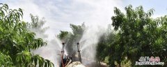 打药几小时内不能下雨，一般用多大压力