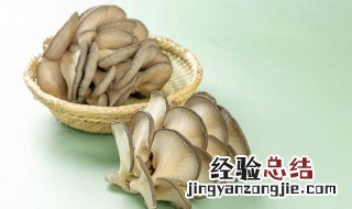 平菇跟什么炒好吃 平菇的烹饪方法