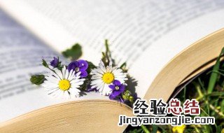诗兴不作的解释 诗兴不作的意思