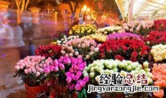 牡丹花下死的花是什么意思 牡丹花下死的花的含义