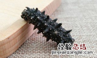 海参怎么煮 海参怎么煮好吃