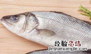 立春后如何快速钓鱼 熟知这些技巧快速钓鱼不是梦