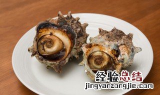 海螺的吃法 海螺的吃法哪个部位不能吃