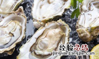 海蛎怎么煮 海蛎怎么煮汤