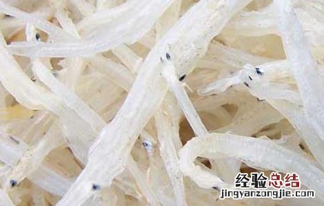 银鱼产地在哪里 银鱼出产地