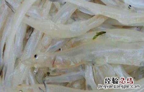 银鱼产地在哪里 银鱼出产地