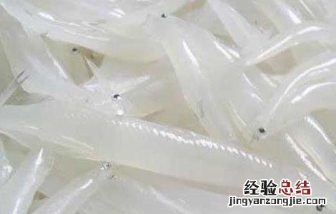 银鱼产地在哪里 银鱼出产地