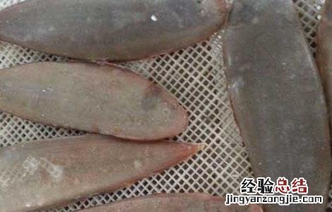 龙利鱼的产地在什么地方 龙利鱼产地在哪里