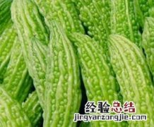 什么食物能除湿 什么食物能除湿排毒
