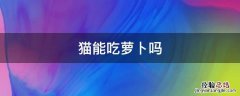 猫能吃萝卜吗 猫能吃萝卜吗?