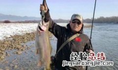 成都冬天钓鱼用什么饵料 冬天钓鱼什么作钓