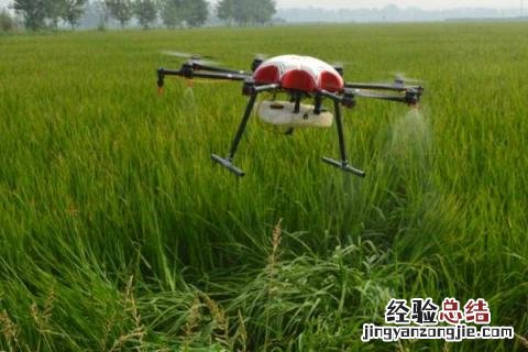 常用胃毒剂农药有哪些 使用胃毒剂主要防治