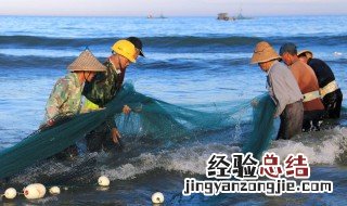 三天打鱼两天晒网到底是工作几天 三天晒网两天打鱼什么意思