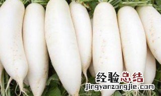 萝卜是发物吗 萝卜属于发物吗