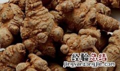 新鲜田七叶的正确吃法与功效 田七的正确吃法与功效
