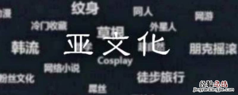 亚文化包括哪些 亚文化有哪些
