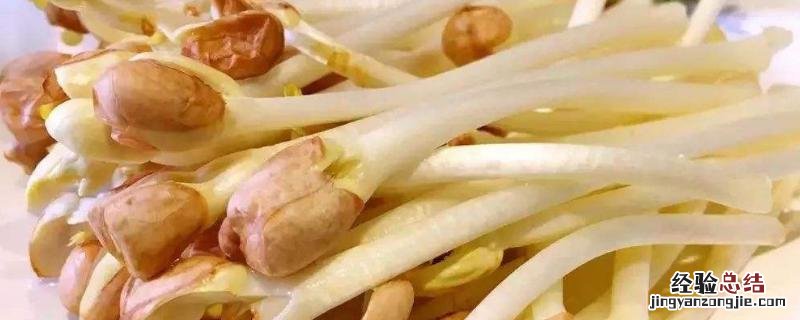 花生苗怎么种出来的,怎么做才好吃呢 花生苗怎么种出来的，怎么做才好吃