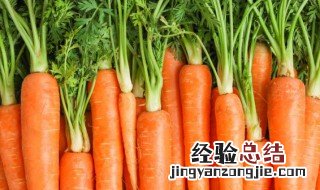 胡萝卜是热性还是凉性