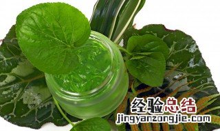 芦荟胶抹了之后用不用洗 芦荟胶抹完用洗吗