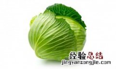 紫甘蓝的功效与作用 甘蓝的功效与作用