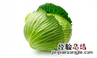 紫甘蓝的功效与作用 甘蓝的功效与作用