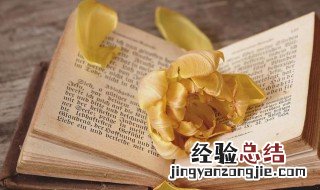 干路支路是什么意思 支路的意思