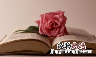 打边炉什么意思 打边炉说的什么意思