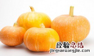 面瓜是什么意思 面瓜的解释