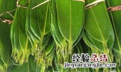 干粽子叶需要煮多久 买的干粽子叶需要煮多长时间