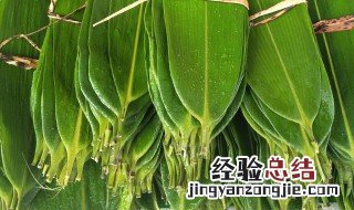 干粽子叶需要煮多久 买的干粽子叶需要煮多长时间