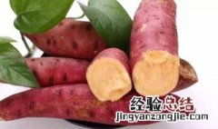 红薯长出个小芽还能吃吗 红薯长出个小芽还能吃吗图片