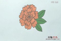 花的简笔画有颜色 花的简笔画