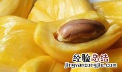 菠萝蜜籽怎么煮 菠萝蜜籽怎么煮饭