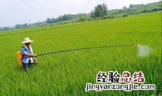 有机磷农药对酶的抑制作用是什么原理 有机磷农药对酶的抑制作用是什么