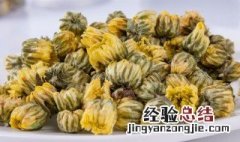 野菊花泡水的禁忌 野菊花泡水的禁忌症