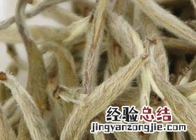 夏天喝白茶的好处有哪些 夏天喝白茶的好处有哪些呢