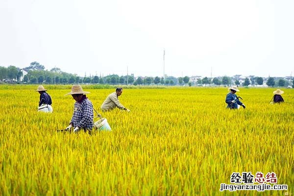 集体土地的房子能买吗签订私人协议有效果吗 集体土地的房子能买吗