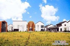 集体土地包括哪些土地类型 集体土地包括哪些土地