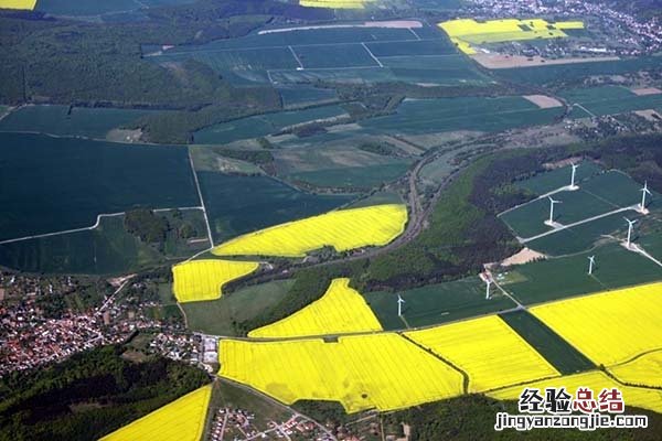 集体土地包括哪些土地类型 集体土地包括哪些土地
