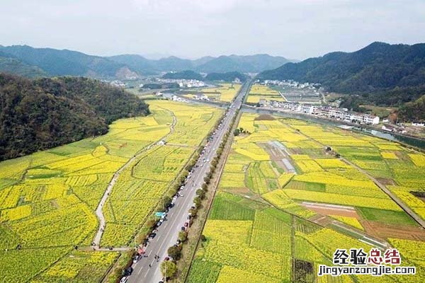 集体土地包括哪些土地类型 集体土地包括哪些土地