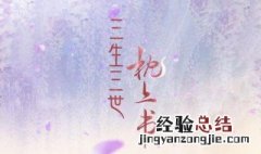 枕上书在哪个电视台播放 三生三世枕上书剧情介绍