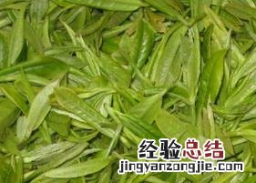 绿茶如何冲泡 日照绿茶如何冲泡