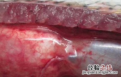 草鱼出血病怎么治疗 草鱼出血病怎么治疗好