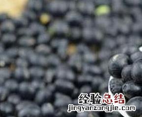 绿芯黑豆的功效与作用及禁忌 绿芯黑豆的功效与作用