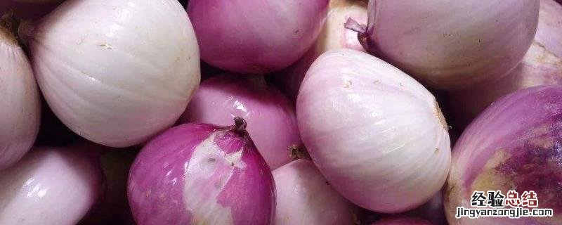 适合11月份种植的植物 11月份适合种植什么农作物